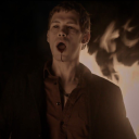 niklausyanderegirlie89 avatar