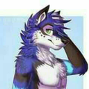 nikolaistraphen avatar