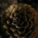 nikolettbencsik-blog avatar