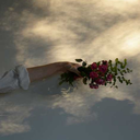 nilshha-blog-blog avatar