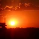 nilzapegoraro-blog avatar