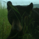 nimbusthevoidcentury avatar