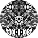 ninaarctander avatar