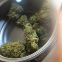 ninaconflores avatar