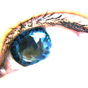 ninalindofairytales avatar