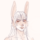 ninebunnies avatar