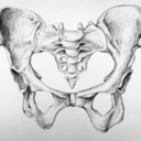 nineteen43-blog-blog avatar