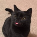 ninetynine-entropy avatar