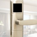 ningen-girai-elii avatar