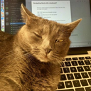 ninja-monkeys-in-space avatar