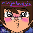 ninjabudgie avatar