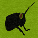 ninjahopper avatar