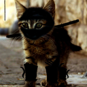 ninjakittens avatar