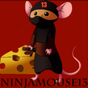 ninjamouse13 avatar