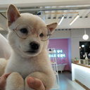 nintengofaraway avatar