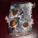 ninth-house-skulls avatar