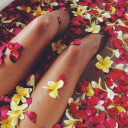 nipplely-hippie avatar