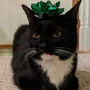 nippleodeonjr avatar