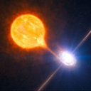 niprincipionifin avatar