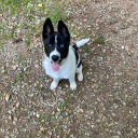 nirethakmemeharvester avatar