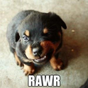 nitecorefreak avatar