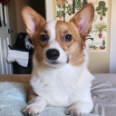 nitric-murdez avatar