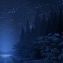 nityaisnotonfire avatar