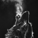 nivek-anodrac avatar