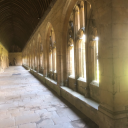 niveres-effer avatar