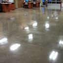 nixsrebellionoflies avatar