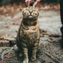 njoy-the-life avatar