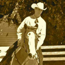 njsaddle avatar