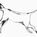 nnecessityofnonsense avatar