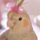 nnothingmakessense avatar