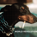 no-excuses-no-surprises avatar