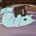 no-guns-at-the-dinner-table avatar