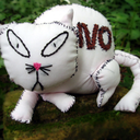 no-kitty avatar