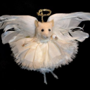 no-morire-del-todo avatar