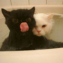 no-paro-de-pensar-en-ti avatar