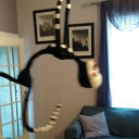 no-se-que-poner-xd avatar