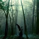 no-thoughts-just-cryptid avatar