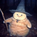 no1-important avatar