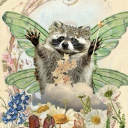 no1alicedyerfan avatar