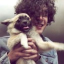 noacfapologyst avatar