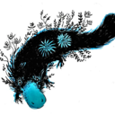 nobleplaidypus avatar