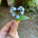 noblogurlisavailable avatar