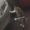 nobodysbusinesspal avatar