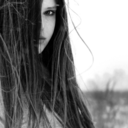 nocaminhodaspedras-blog avatar