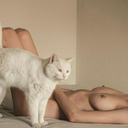 nochegris0414 avatar