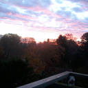 nocheinmalmitgefuehl avatar